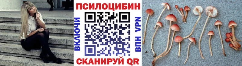 продажа наркотиков  Горняк  Псилоцибиновые грибы Psilocybe 